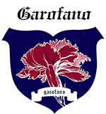 Contrada Garofano